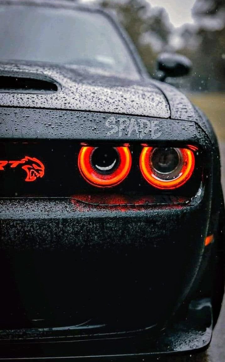 خدمات دودج الفاخرة - CarsSpace